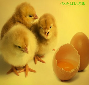卵を孵化させるコツ2